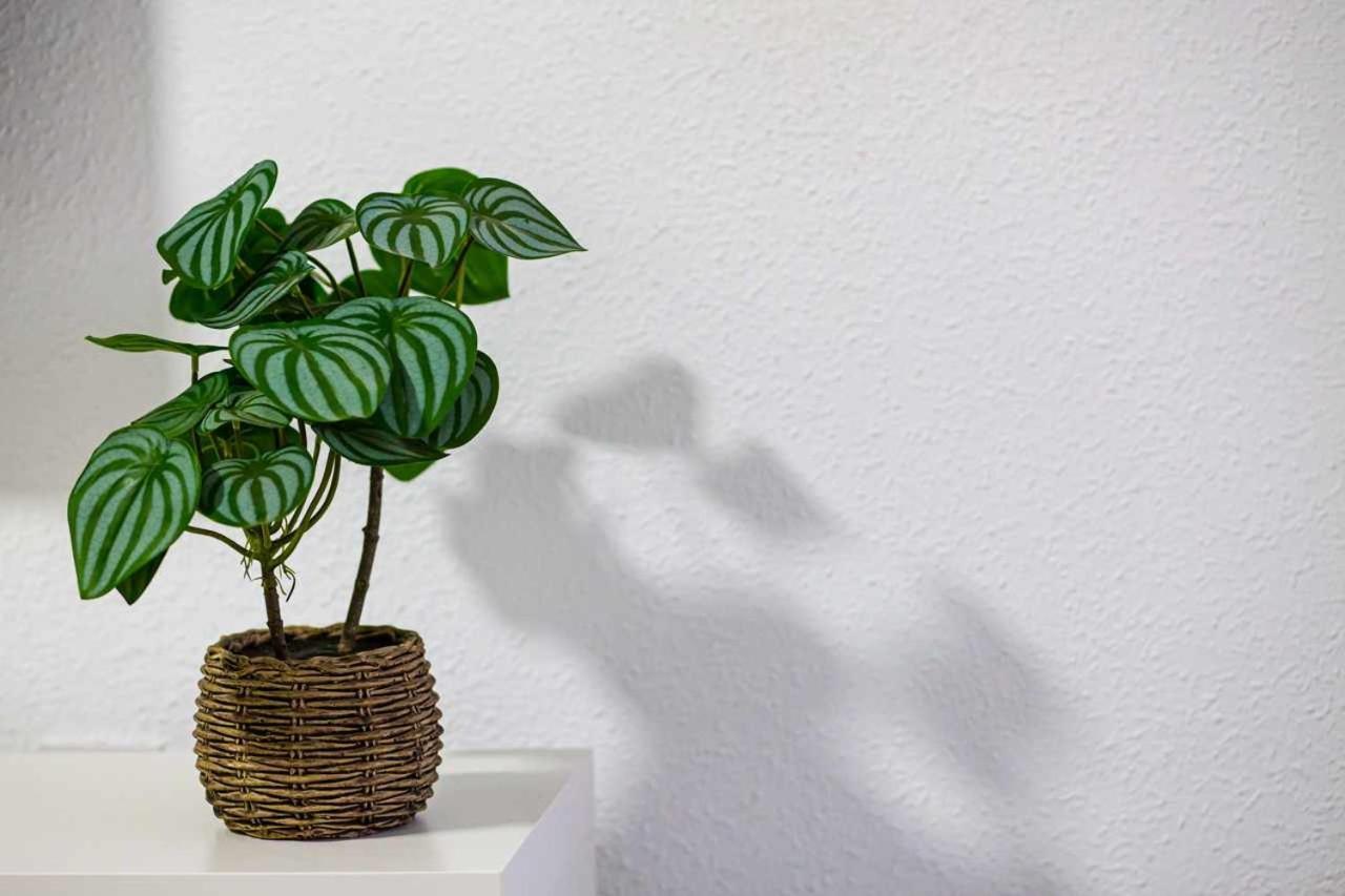 Apartamento Heroes De Sostoa มาลากา ภายนอก รูปภาพ